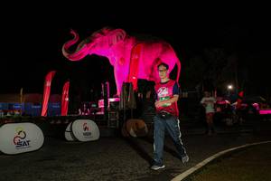 BIB: 
                            <button type="button" onclick="openModal(26534472)" class="btn btn-primary btn-sm float-right btn-popup" data-toggle="modal" data-target=".modal-high-quality">
                        <i class="fas fa-shopping-cart"></i> Add to Cart
                    </button>
                                            <button type="button" onclick="isThisMe(26534472, true)" class="btn btn-success btn-sm float-right btn-popup btn-isme hidden" data-toggle="tooltip" data-placement="bottom" title="นี่คือรูปของคุณใช่ไหม คลิกที่นี่เพื่อเอาเข้าอัลบั้ม">
                        <i class="fas fa-plus"></i> Add to album
                    </button>
                    <button type="button" onclick="isThisMe(26534472, false)" class="btn btn-warning btn-sm float-right btn-popup btn-isnotme hidden">
                        <i class="fas fa-ban"></i> Remove from album
                    </button>